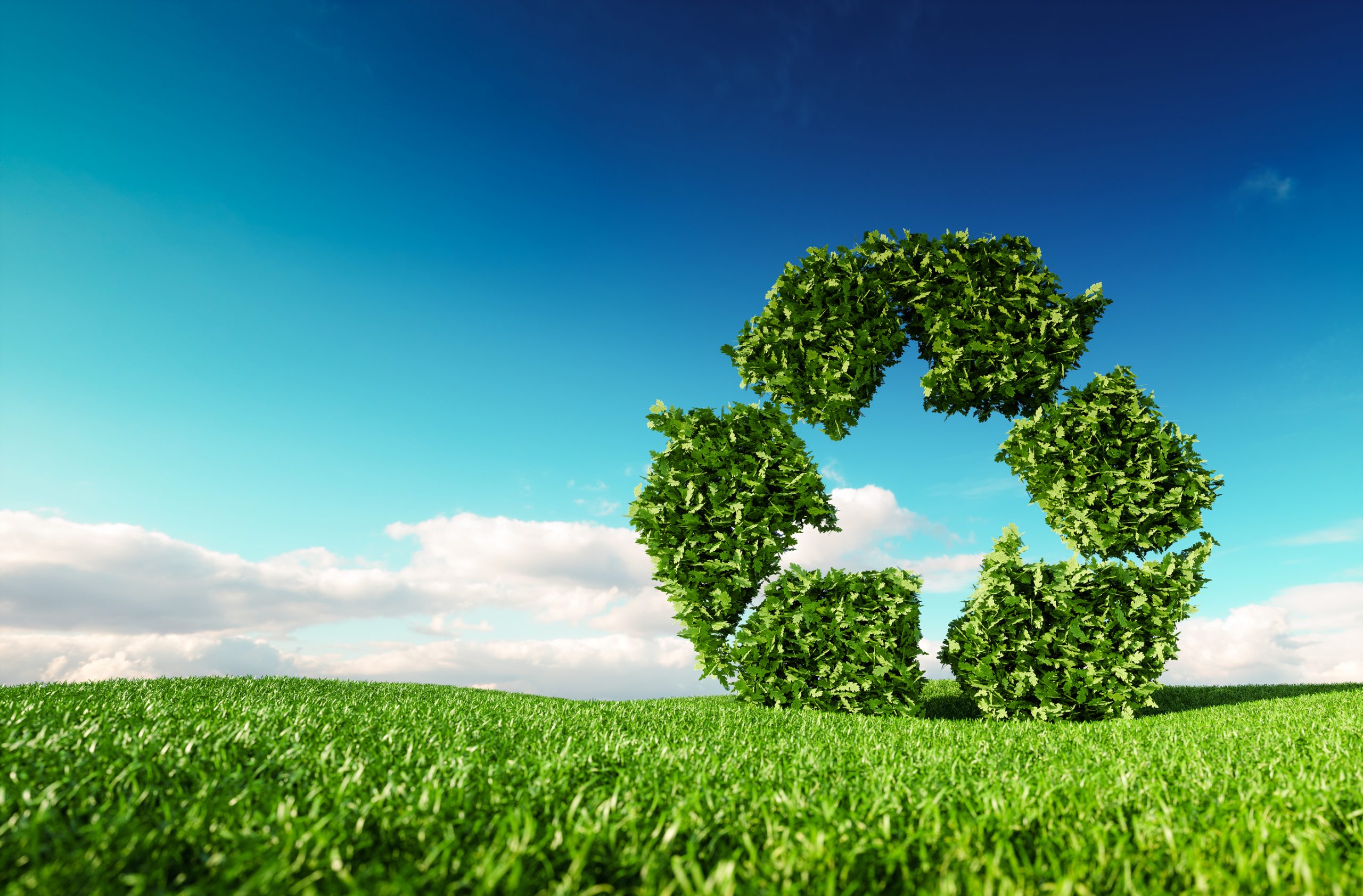 Eco friendly recyclation concept. 3d rendering of green recycle icon on fresh spring meadow with blue sky in background.